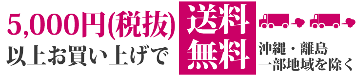 ご購入のお客様に送料サービス! 5,000円(税抜)以上のお買い上げで500円送料サービス! 10,000円(税抜)お買い上げで送料無料